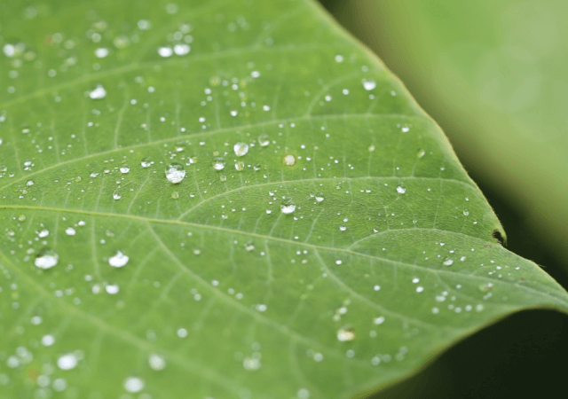 Happy World Water Day from TCL
