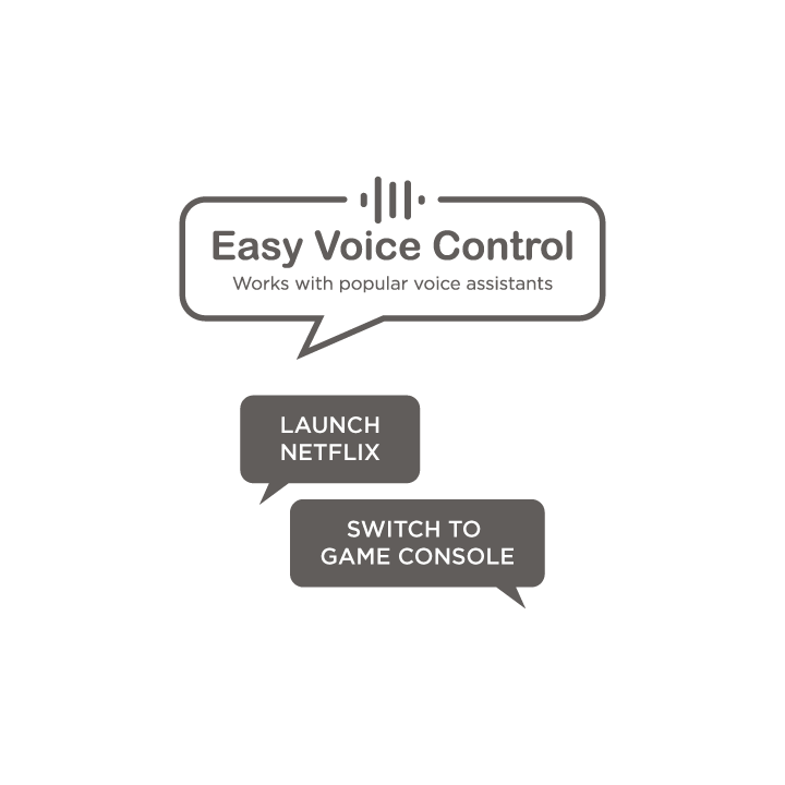 Easy Voice Control